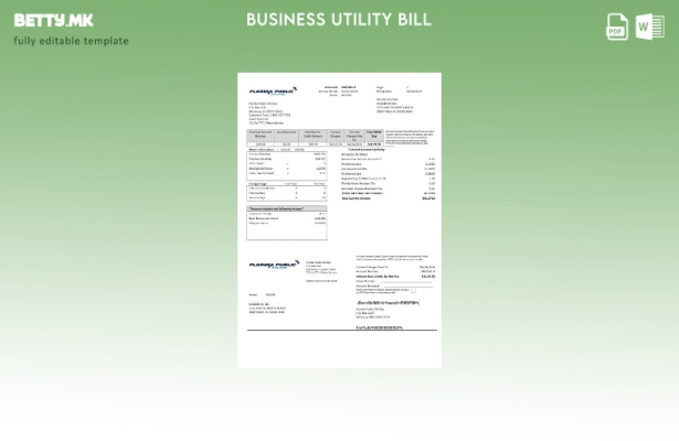 Бизнис сметка за комунални услуги во САД Флорида за јавни комунални услуги